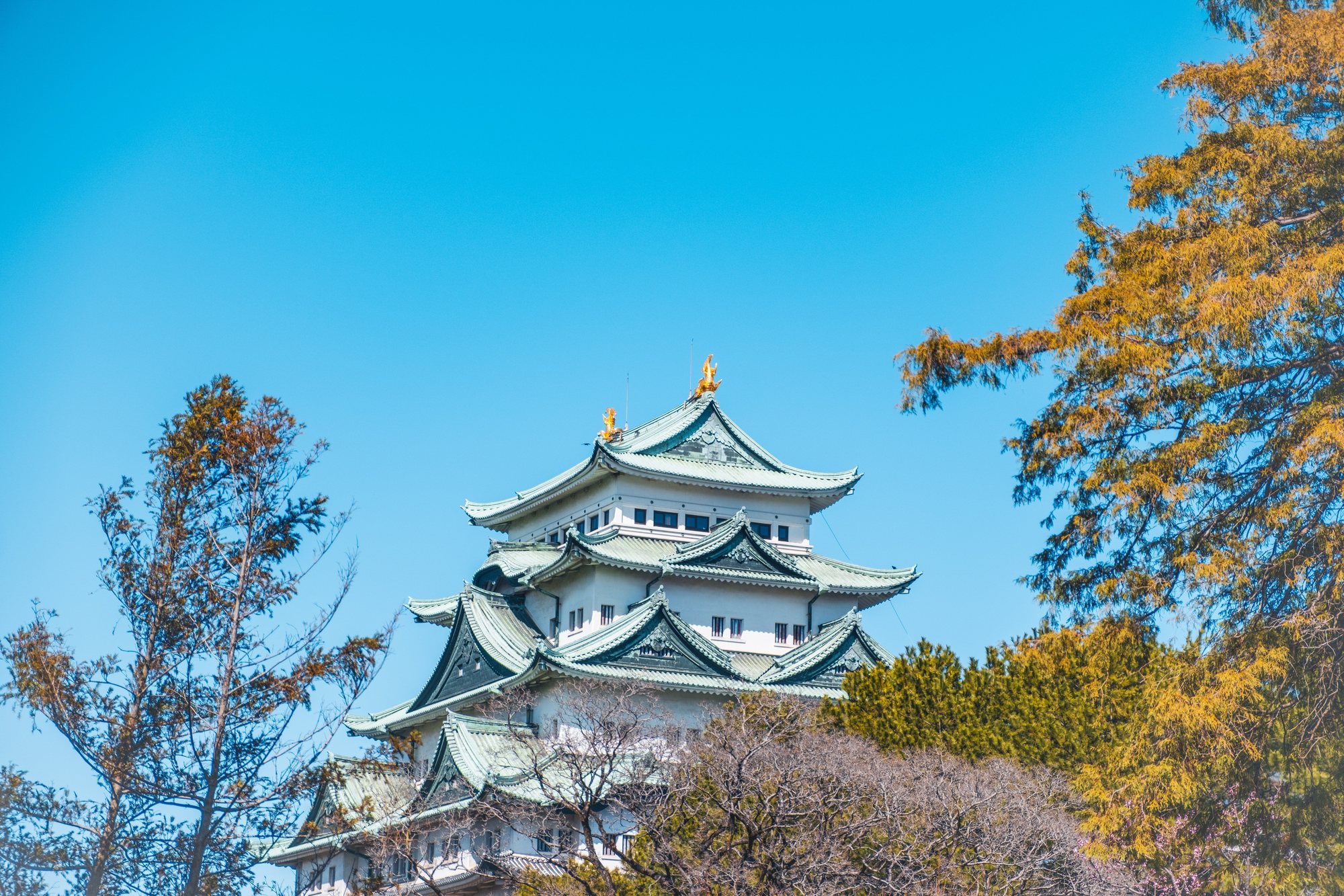 Castelo de Nagoya sob céu azul, cercado por árvores de outono